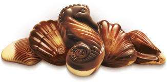 The Original Belgian Chocolate Sea Shells